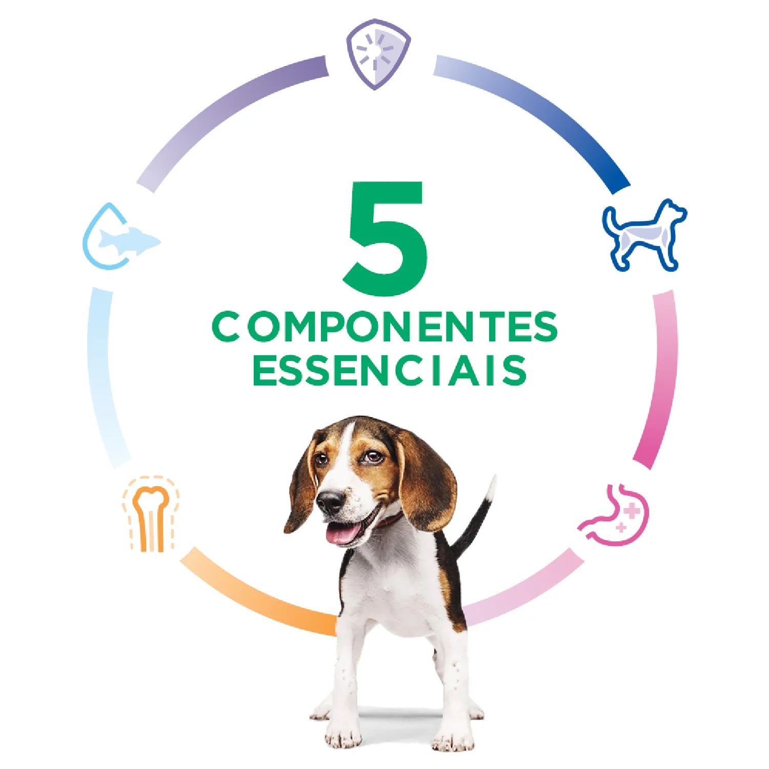 Ração Hill's Science Diet Cães Filhotes Sabor Frango