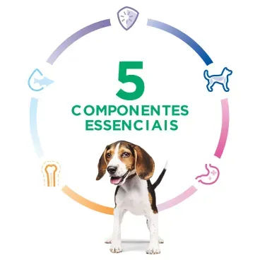 Racao-Hills-Science-Diet-Caes-Filhotes-5-componentes-essenciais
