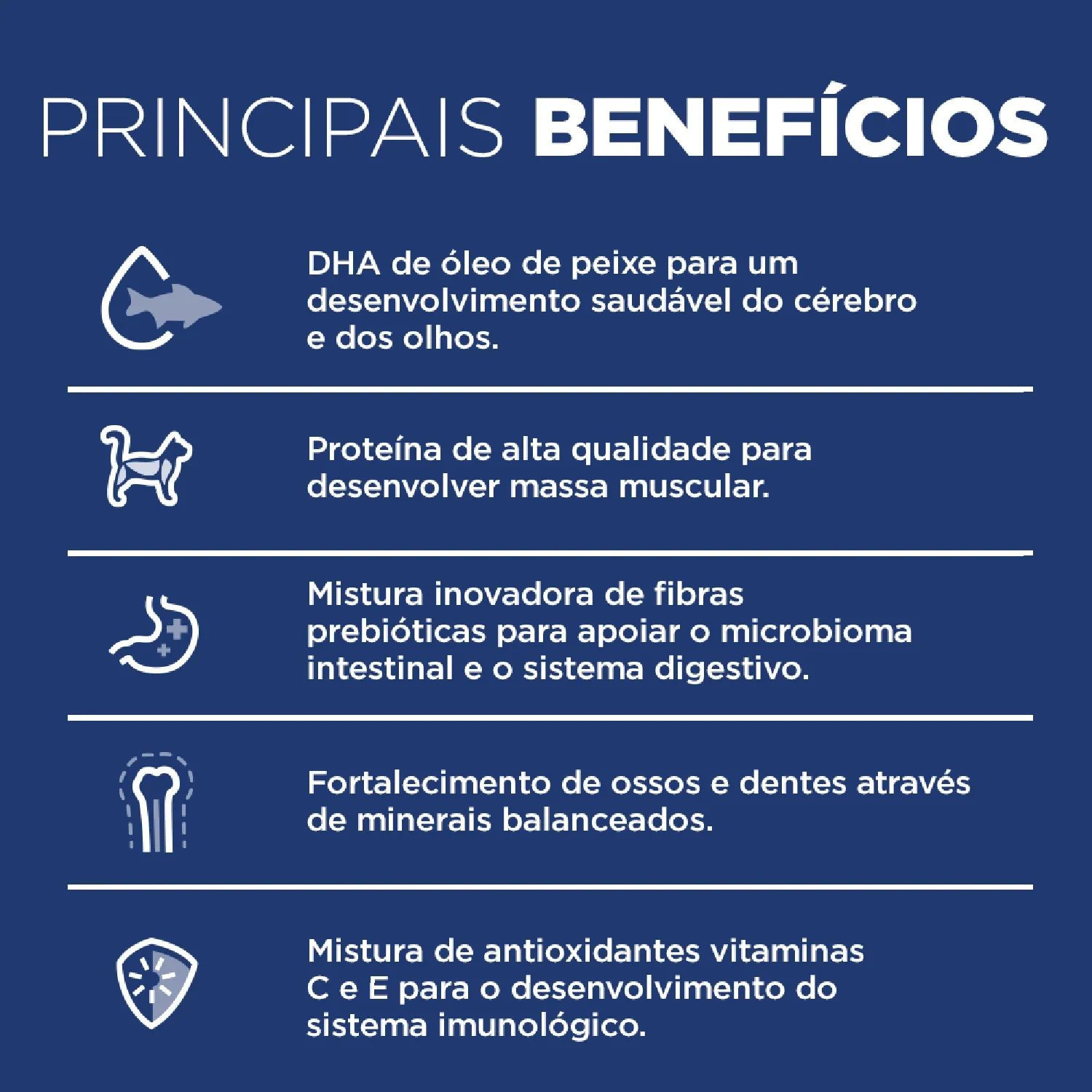 Ração Hill's Science Diet para Gatos Filhotes Sabor Frango