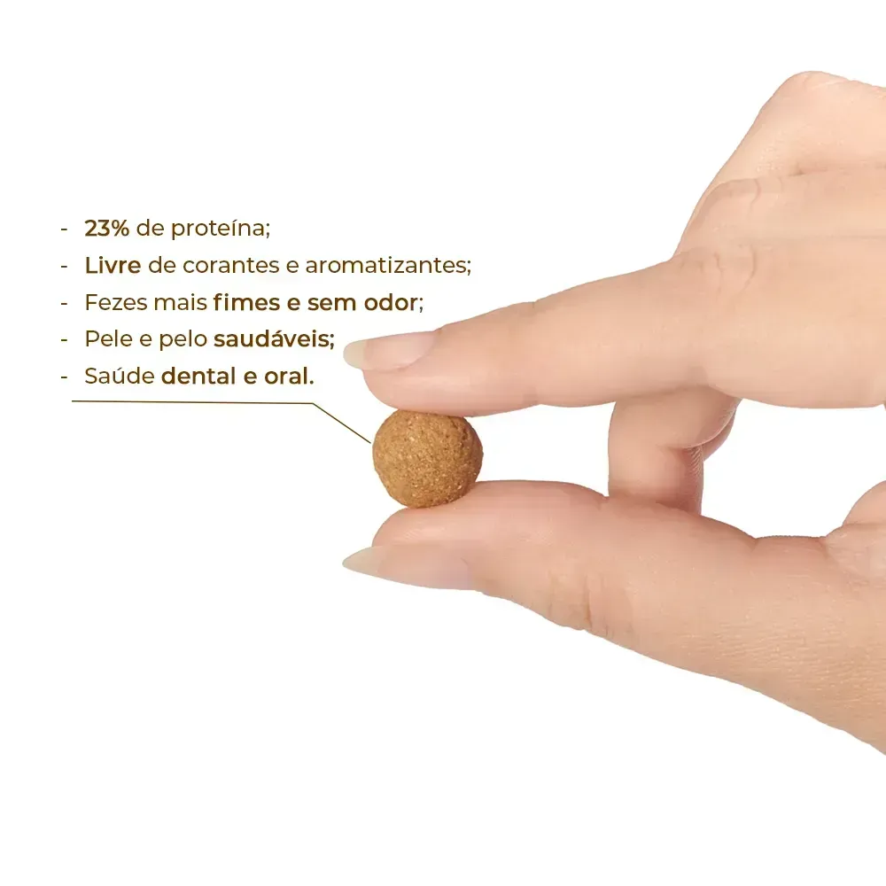 Ração Joy High Premium Cães Adultos Raças Médias e Grandes Frango e Carne