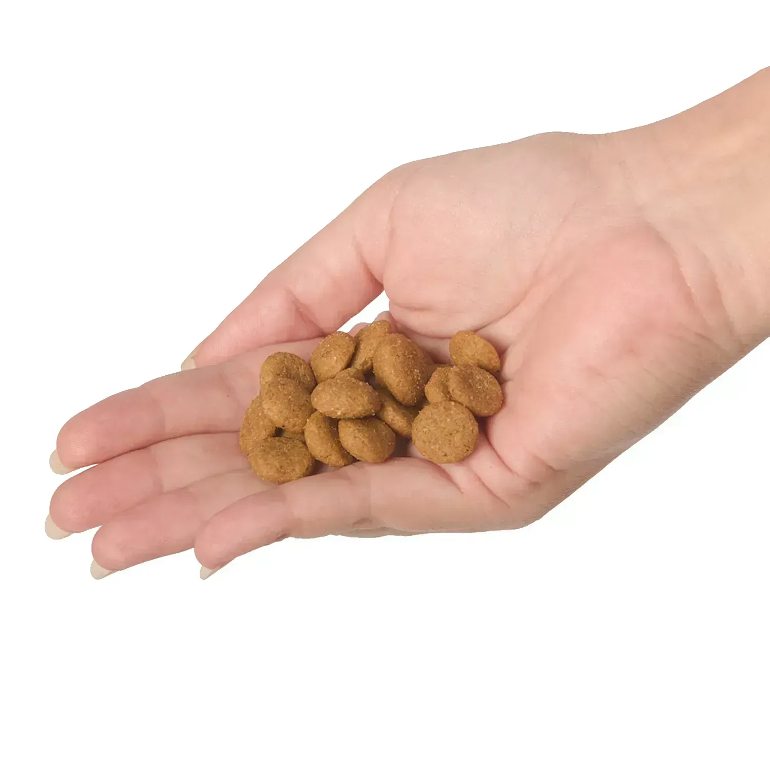 Ração Joy High Premium Cães Adultos Raças Médias e Grandes Frango e Carne