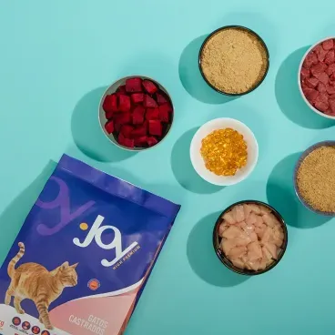 Racao-Joy-High-Premium-Gatos