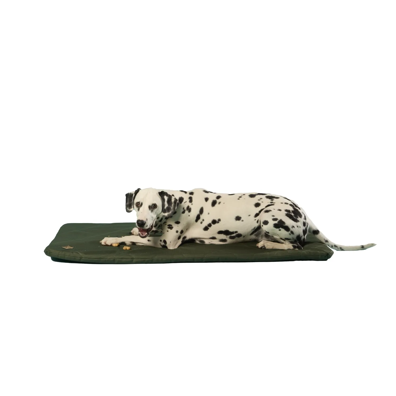 Colchonete Resistente Cinza Bichinho Chic