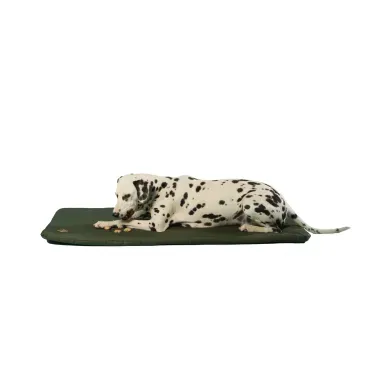 colchonete-resistente-verde-bichinho-chic-2