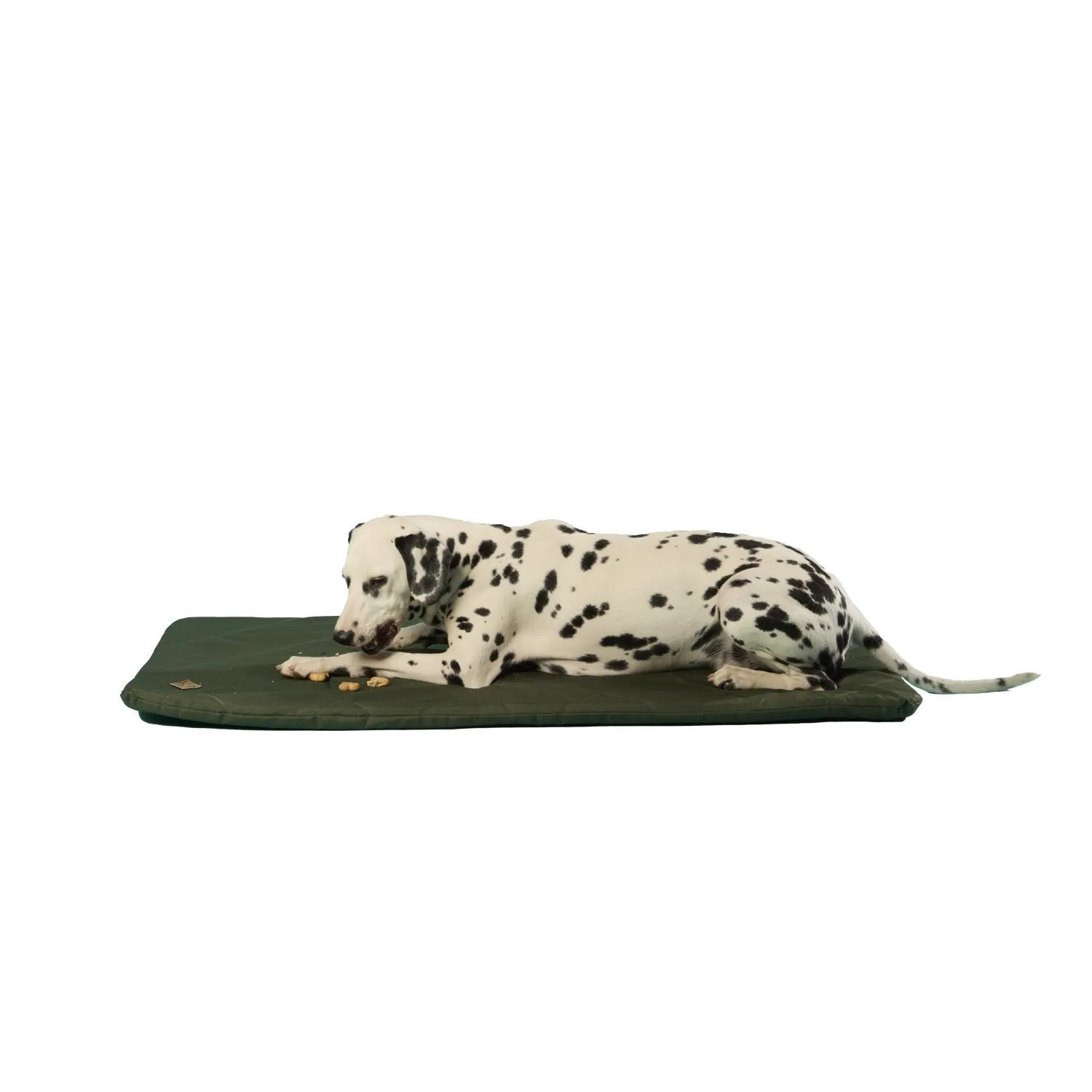 colchonete-resistente-verde-bichinho-chic-2