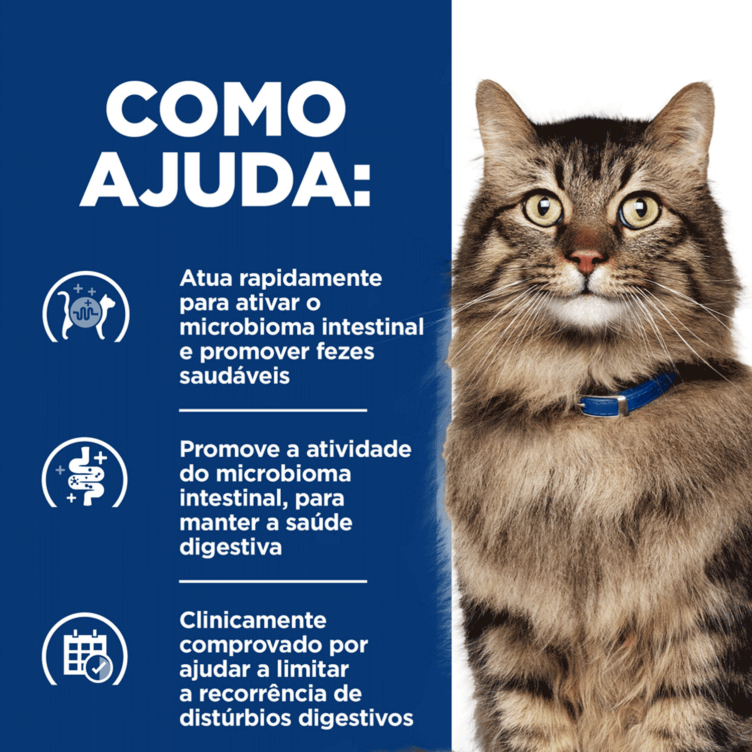Como-Ajuda-a-Racao-Hill-s-Prescription-Diet-Gatos-Adultos-Gastrointestinal-Biome