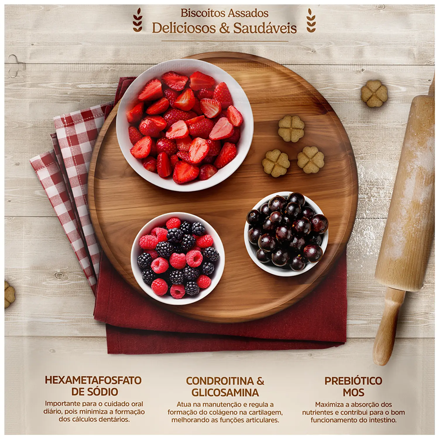 5-Biscoito Special Dog Ultralife Filhote Frutas Vermelhas 250g