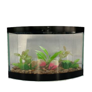 Beteira-Curva-Jardim-Lester-Preta-Frente