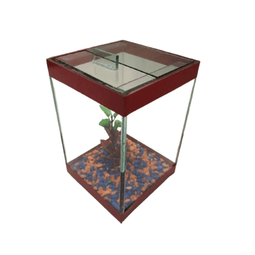 Beterira-Quadrada-com-Enfeite-Lester-Vermelha-de-Lado