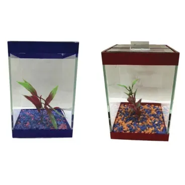 Beteiras-Quadradas-Azul-e-Vermelha-com-Enfeite-Lester