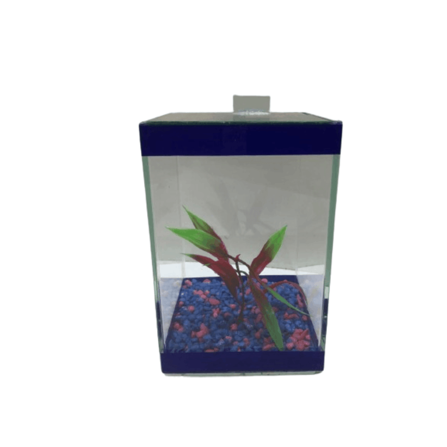 Beterira-Quadrada-com-Enfeite-Lester-Azul