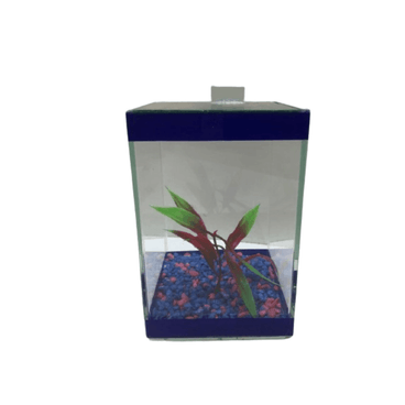 Beterira-Quadrada-com-Enfeite-Lester-Azul