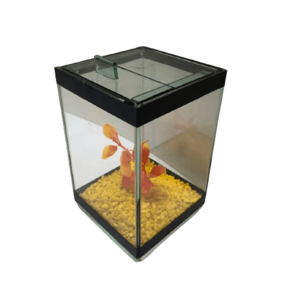 Beteira Quadrada com Enfeite Lester