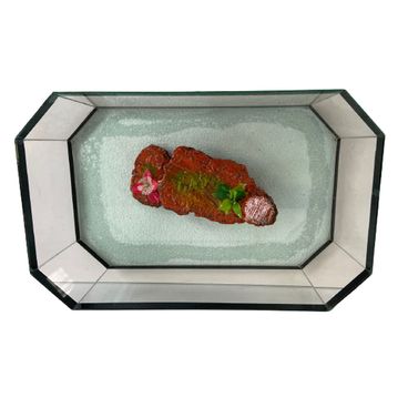 Aquario-Terrario-Ilha-Lester-Visto-de-cima