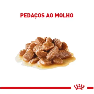 3-Racao-Umida-Royal-Canin-Ageing-11--85g