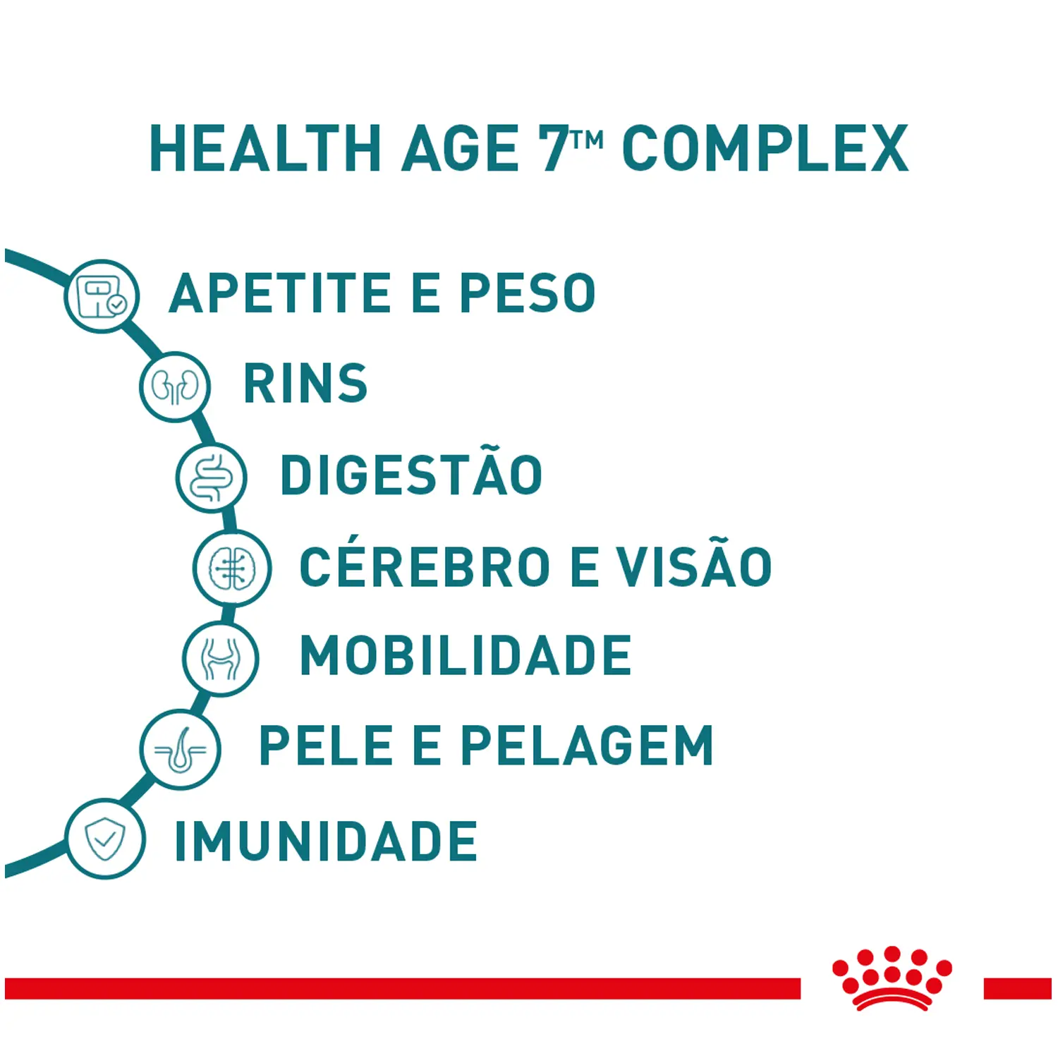Ração Úmida Royal Canin Ageing 11+ Gatos Adultos