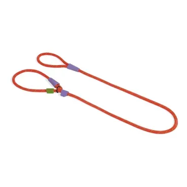 Guia-Unificada-Slip-n-Lock-Everest-Zeedog