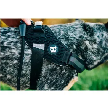 DEtalhes-do-pet-usando-o-Peitoral-FlyHarness-para-Caes-Zeedog-Gotham
