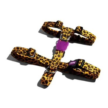 Peitoral-H-para-Caes-Zeedog-Honey-detalhes