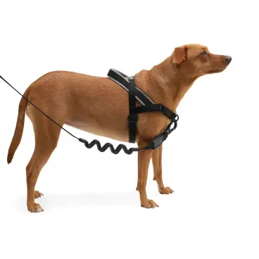 Pet-de-porte-medio-usando-o-Peitoral-Antipuxao-para-Caes-SofterWalk-Zeedog-Gotham