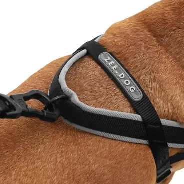 Detalhes-do-encaixe-da-guia-com-o-Peitoral-Antipuxao-para-Caes-SofterWalk-Zeedog-Gotham
