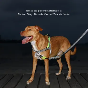 Pet-usando-o-Peitoral-Antipuxao-para-Caes-SofterWalk-Zeedog-Nox
