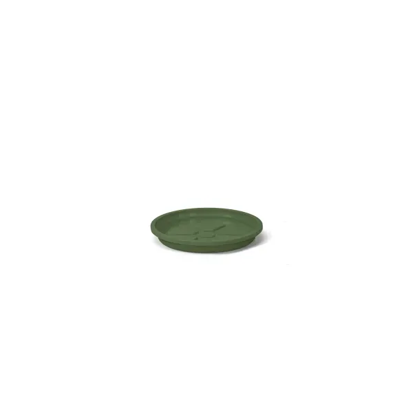 Prato Redondo Aquarela Nutriplan Verde Boldo 0,3cm