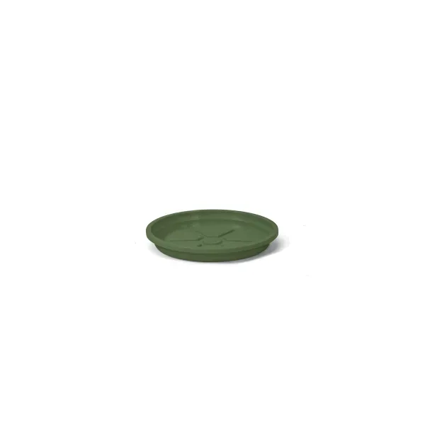 Prato Redondo Aquarela Nutriplan Verde Boldo 0,5cm
