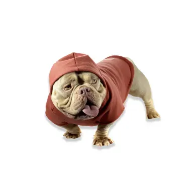 Pet-porte-medio-usando-o-Blusao-de-Moletom-Bichinho-Chic-Terracota