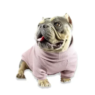 Pet-usando-a-Cacharrel-para-Caes-Bichinho-Chic-Rose