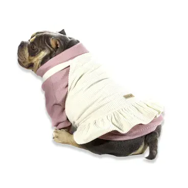 Pet-usando-Cacharrel-para-Caes-Bichinho-Chic-Rose-em-conjunto-com-a-Jardineira-para-Caes-Bichinho-Chic-Bege