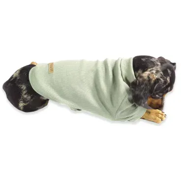 Pet-deitado-usando-a-Cacharrel-para-Caes-Bichinho-Chic-Verde