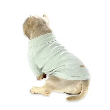 Pet-sentado-de-costas-e-usando-a-Cacharrel-para-Caes-Bichinho-Chic-Verde