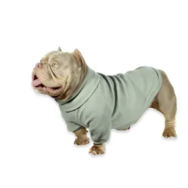 Pet-usando-a-Cacharrel-para-Caes-Bichinho-Chic-Verde