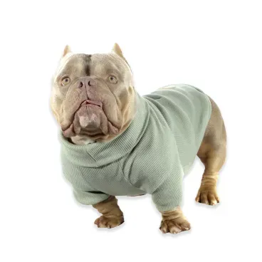 Cacharrel-para-Caes-Bichinho-Chic-Verde-com-pet-de-frente