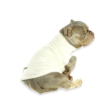 Pet-sentado-de-costas-e-usando-o-Blusao-de-Pelucia-Bichinho-Chic-Bege