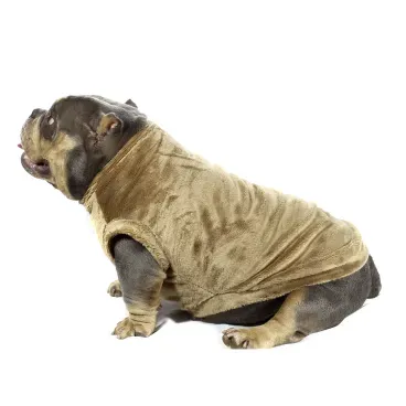 Blusao-de-Pelucia-Bichinho-Chic-Marrom-com-pet-usando