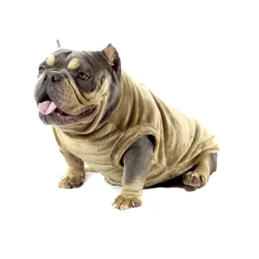 Pet-sentado-usando-Blusao-de-Pelucia-Bichinho-Chic-Marrom