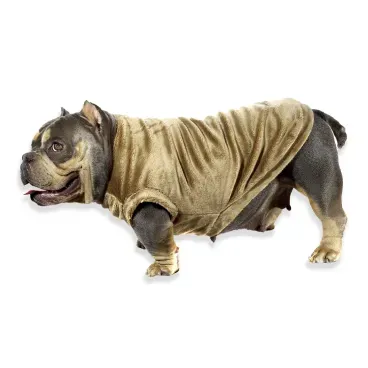 Pet-usando-o-Blusao-de-Pelucia-Bichinho-Chic-Marrom