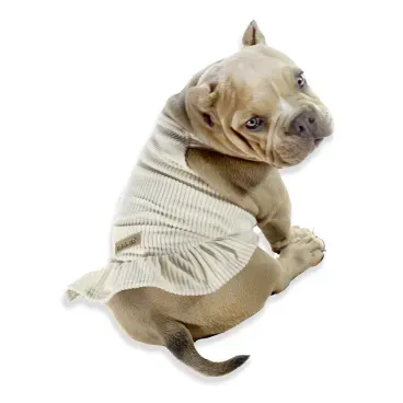 Pet-sentado-de-costas-usando-a-Jardineira-para-Caes-Bichinho-Chic-Bege