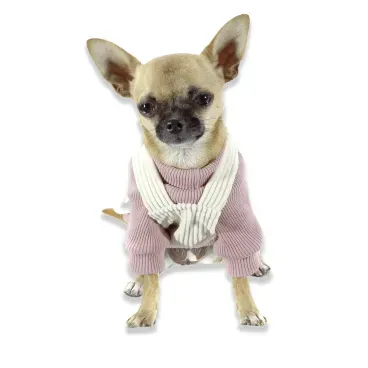 Pet-de-pequeno-porte-usando-a-Cacharrel-para-Caes-Bichinho-Chic-Rose-junto-com-a-Jardineira-para-Caes-Bichinho-Chic-Bege