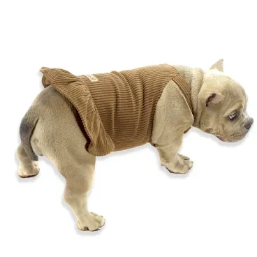 Pet-porte-medio-usando-a-Jardineira-para-Caes-Bichinho-Chic-Marrom-