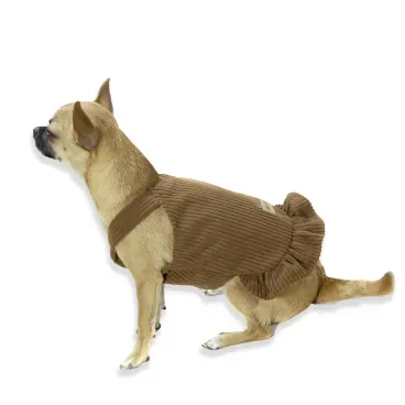 Pet-usando-a-Jardineira-para-Caes-Bichinho-Chic-Marrom