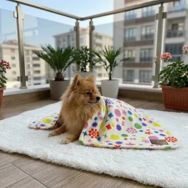 Pet-enrolado-com-o-Cobertor-Ultra-Soft-Fabrica-Pet-Estrelas