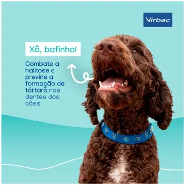 Veggiedent-Fr3sh-para-Caes-Pequenos