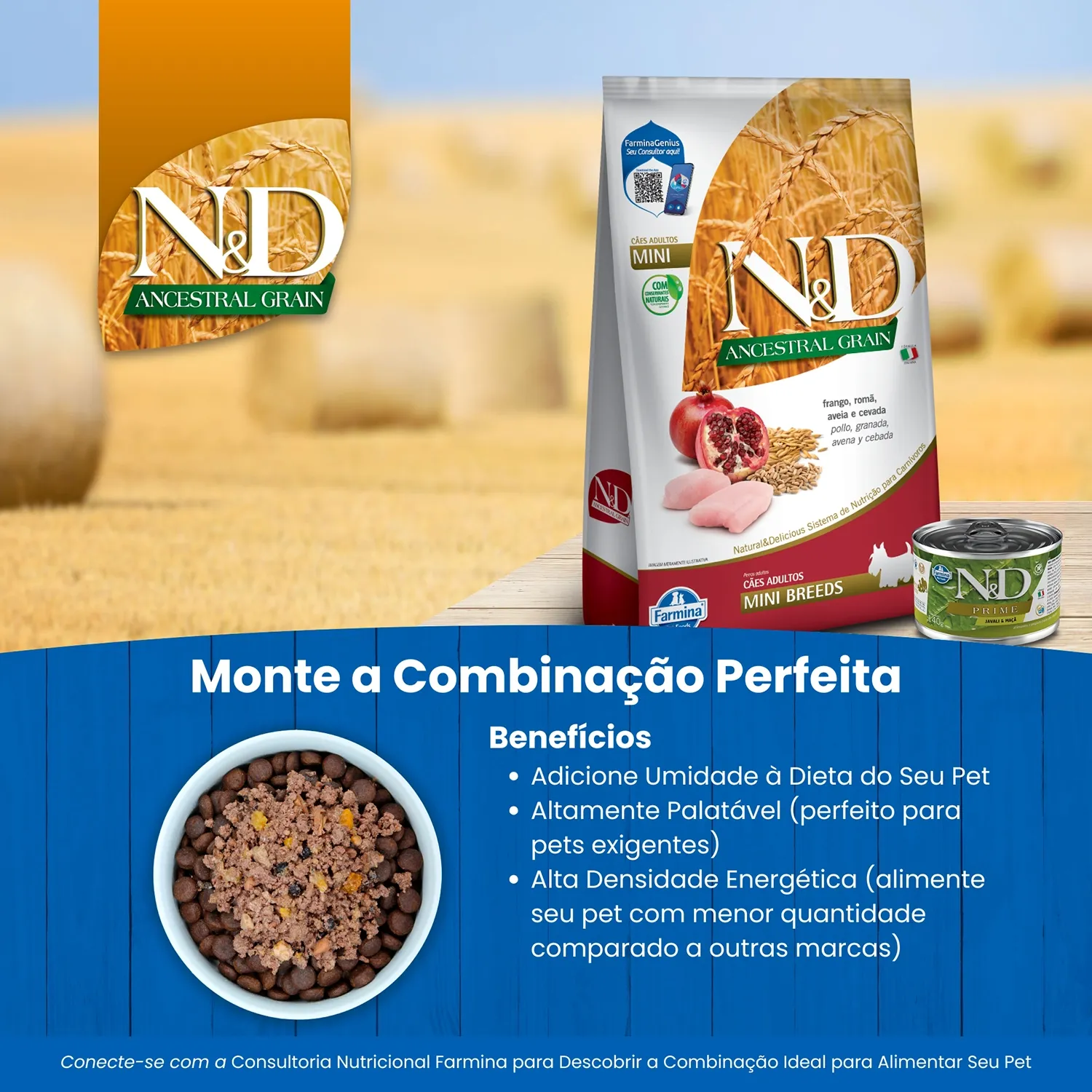 Ração N&D Ancestral Grain Cães Adultos Mini Frango