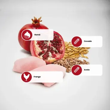 Beneficios-