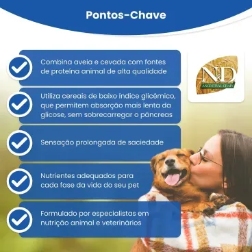 Pontos-chave