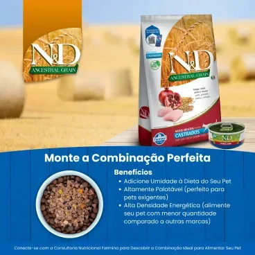racao-nd-ancestral-grain-gato-adulto-frango-4