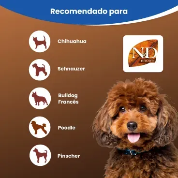racao-nd-brown-caes-adultos-mini-4